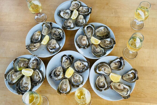 Ston Seafood & Pelješa Wine Boat Tour with Oysters and Mussels - Getting there: the 9:00 am start, pickup, and small-group comfort