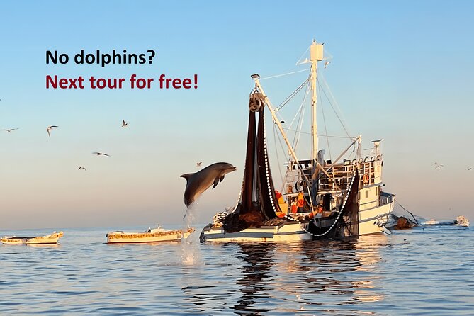 Sunrise Dolphins & Fishermen at Work speedboat tour in Rovinj - Key highlights before you go