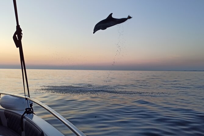 Sunrise Dolphins & Fishermen at Work speedboat tour in Rovinj - The Rovinj sunrise angle that makes this feel special