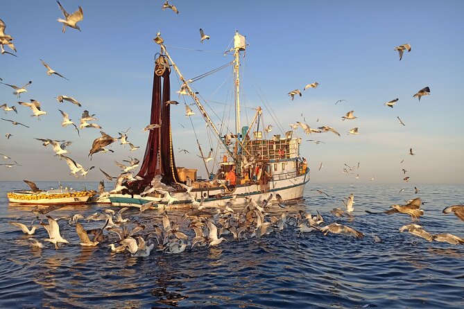 Sunrise Dolphins & Fishermen at Work speedboat tour in Rovinj - Sunrise light: what it looks like and what to wear