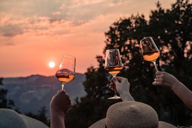 Sunset wine tasting in vineyard - Key points to know before you go