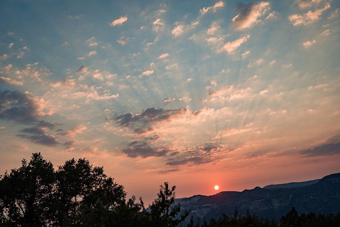 Sunset wine tasting in vineyard - Price and value: what $96.55 gets you in the real world