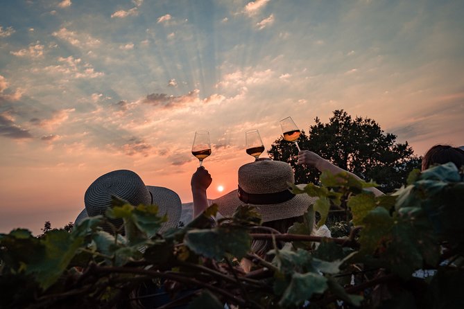 Sunset wine tasting in vineyard - Weather, timing, and what to pack for a vineyard sunset