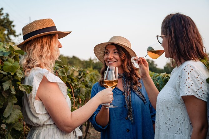 Sunset wine tasting in vineyard - The tasting menu: craft wine plus olive oil and bread