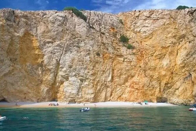 Swimming and Snorkeling on the Wild Bays 3.5 Hours (PUBLIC) - Quick highlights