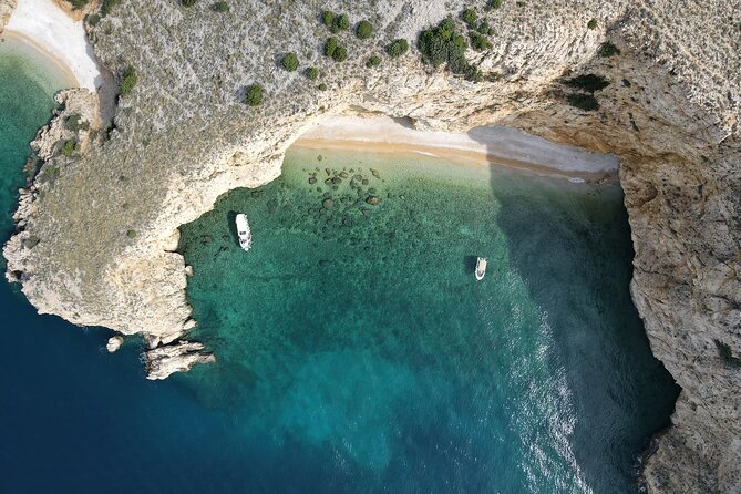 Swimming and Snorkeling on the Wild Bays 3.5 Hours (PUBLIC) - Choosing the right bays: Fox, Bishop, Golden, Long, Cornels