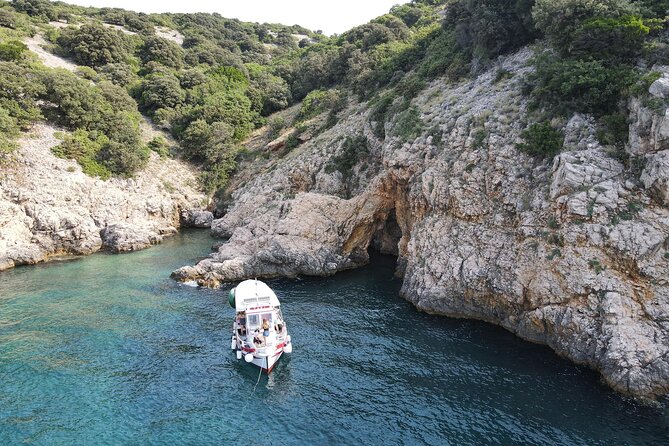Swimming and Snorkeling on the Wild Bays 3.5 Hours (PUBLIC) - What to bring for a 3.5-hour wild-bay swim day