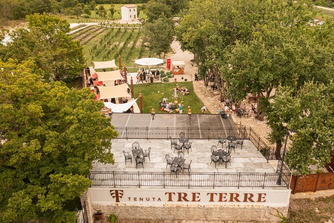 Taste of Istria - wine, brandy, vinegar, local food - Key highlights to look for