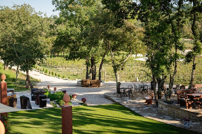 Taste of Istria - wine, brandy, vinegar, local food - Timing and price: what $52.41 buys you