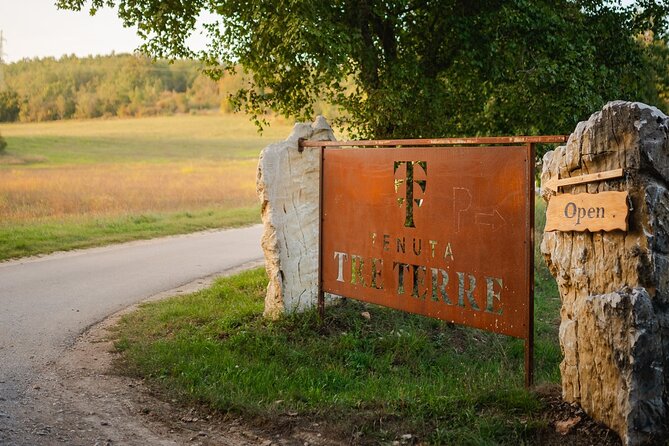 Taste of Istria - wine, brandy, vinegar, local food - Who should book this tour, and who might skip it