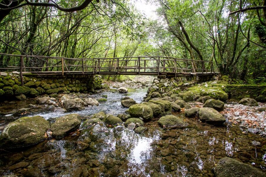 Taste & Tradition of Dubrovnik Countryside - Konavle Valley from Dubrovnik, the best way to taste what locals do