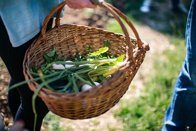 Traditional Cooking Class in Dubrovnik Countryside - Hands-on cooking: what you’ll likely do in the kitchen