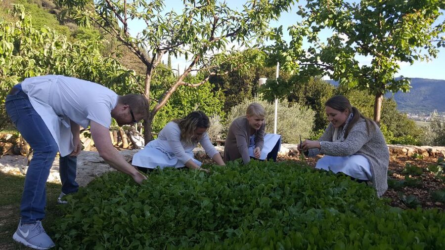 Traditional Dalmatian Cooking Class from Dubrovnik - Key highlights worth circling on your Dubrovnik map