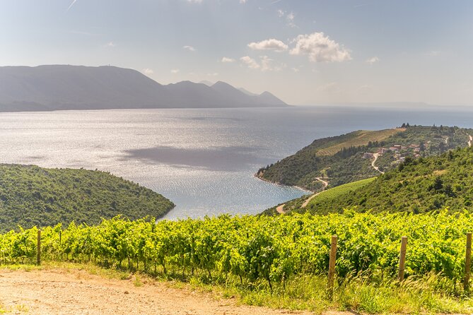 Transfer Dubrovnik to Split with Sightseeing in Ston Town - Price and value: is $295.20 per person worth it?
