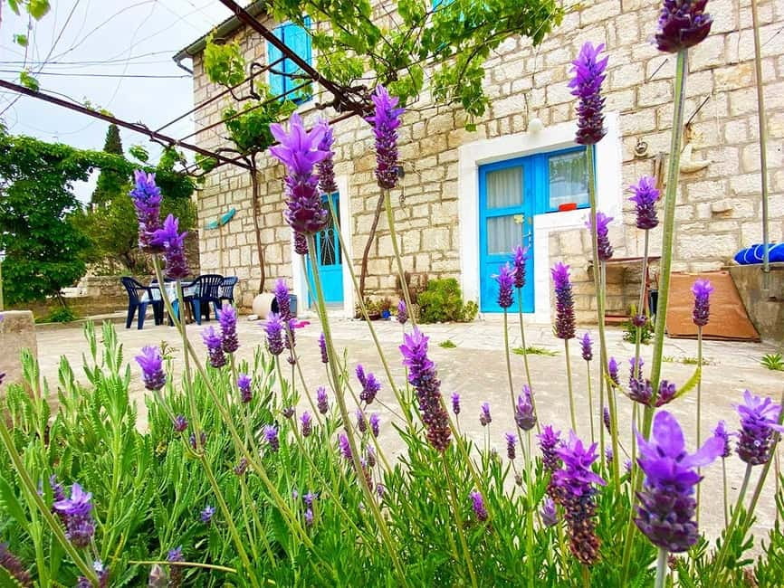 Trogir: Blue Lagoon, Maslinica, and Solinska Bay Boat Tour - Price and value: what $68 buys you in real-world terms