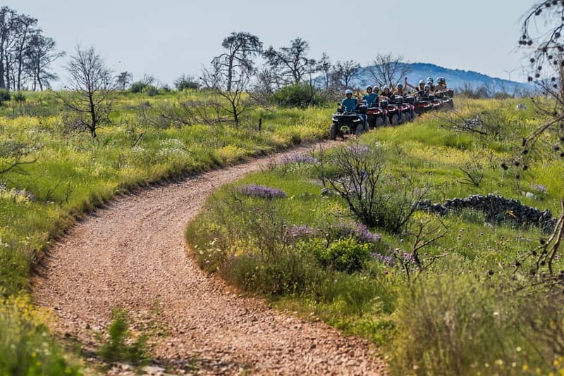 Trogir:From coast to hill-Explore Čiovo like never before!!! - The first ride section: pine forests, olive groves, and sea views