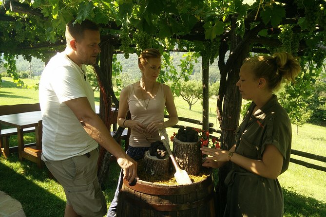 Truffle and wine / Taste of Istria from POREC, ROVINJ, PULA - Why this Rovinj to Istria truffle and wine combo is a smart use of time