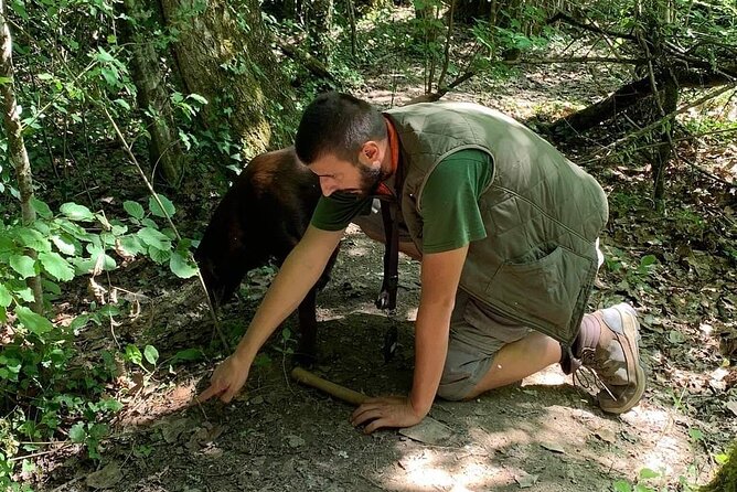 Truffle hunting adventure - Key things to know before you go