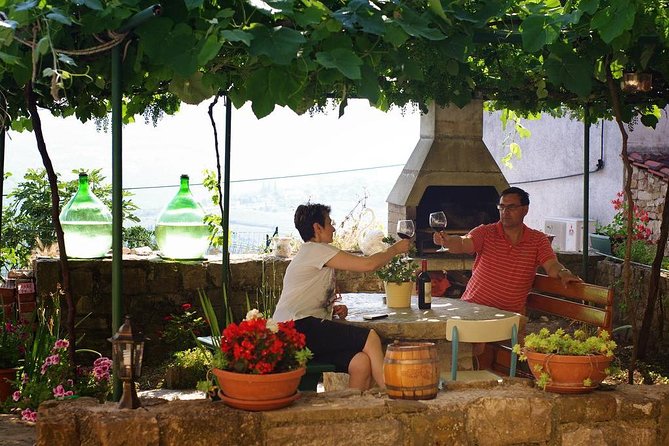 Truffle hunting adventure - Meeting point and pickup: plan your logistics around Motovun