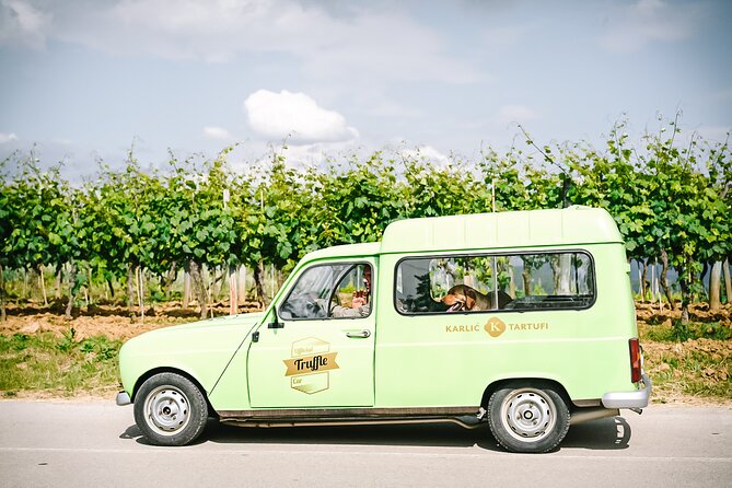 Truffle hunting & cooking tour - How the truffle dogs work (and why you will watch them twice)
