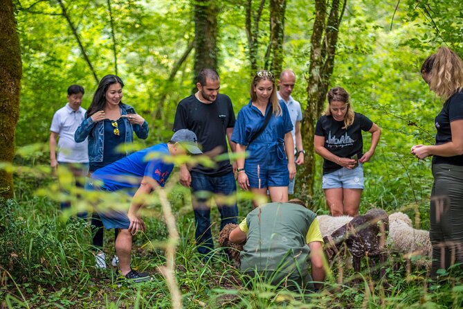 Truffle hunting & cooking tour - Daylight hunt and the “try to spot it” mindset
