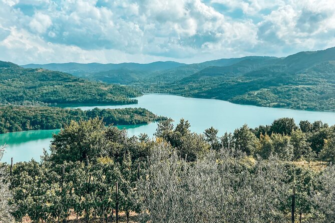 Truffle hunting & cooking tour - Night truffle hunt: sunset tasting is the mood shift