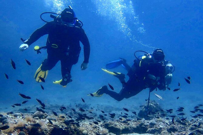 Try Scuba Diving in Split - Key Things You’ll Appreciate in This Split Scuba Intro