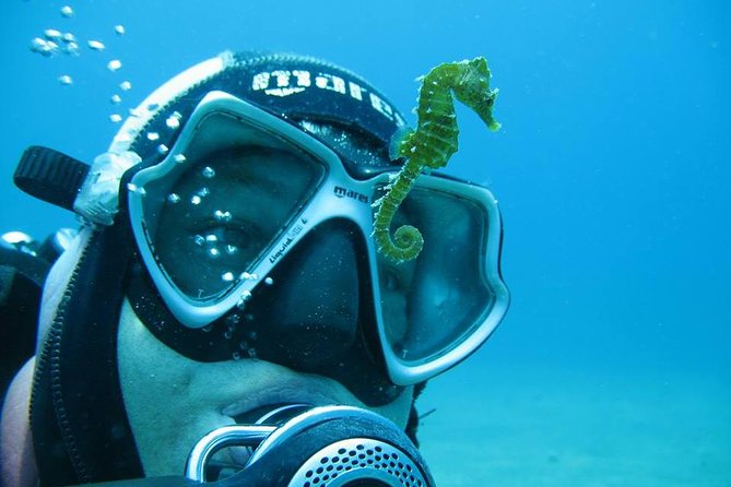 Try Scuba Diving in Split - Where You Meet and How Pickup Changes Your Day