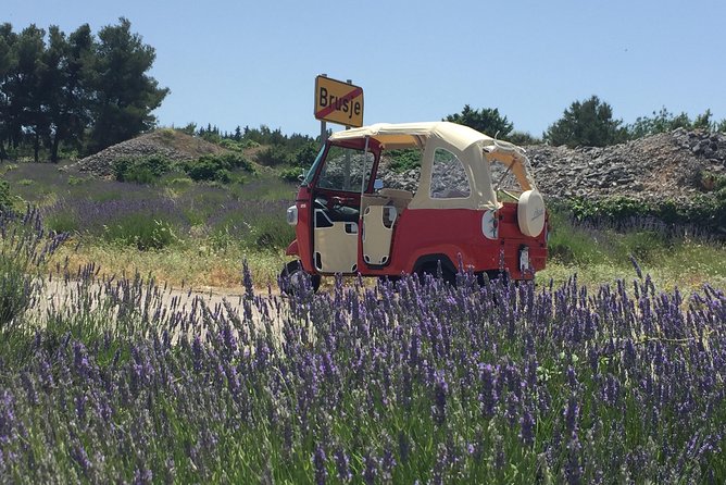 Tuk Tuk Sightseeing Tour of Hvar - Key things you will notice on this Hvar tuk-tuk tour