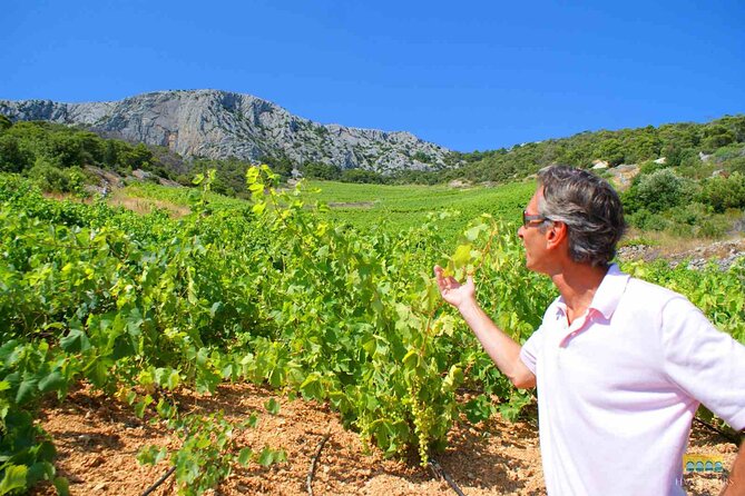 Twice the Wine - Two wineries half day tour, with delicacies - The Small-Group Advantage (Up to 7 People)