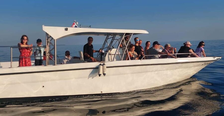 Umag: Dolphinwatching & sunset panorama tour - Watching From the Sea: How the Guide Handles Distance and Behavior