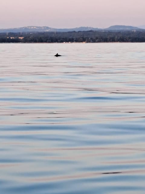 Umag: Dolphinwatching & sunset panorama tour - Price and Value: Is About $41 Worth It for Two Hours?