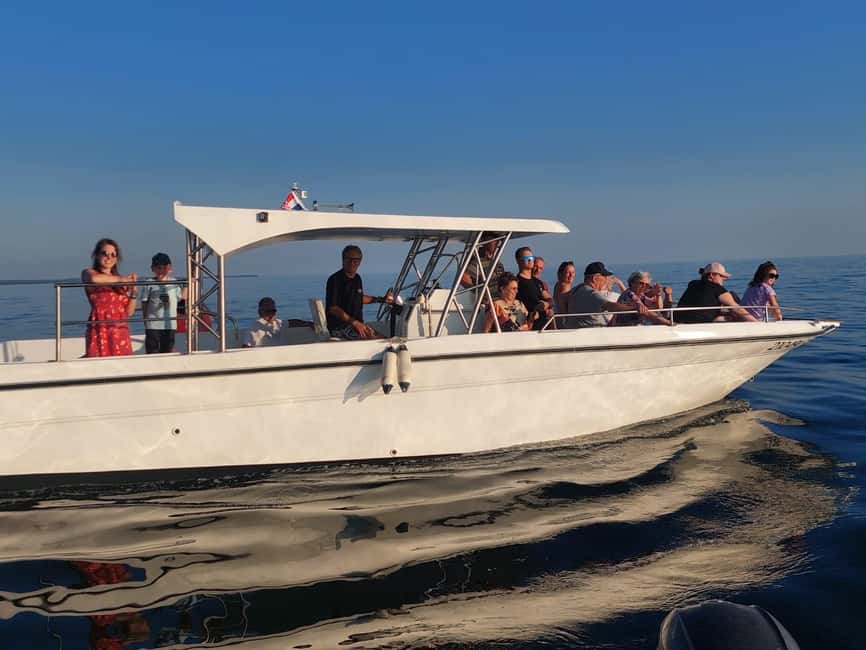 Umag: Dolphinwatching & sunset panorama tour - Dolphin Protected Area Search: What You Really Get (and What You Risk)