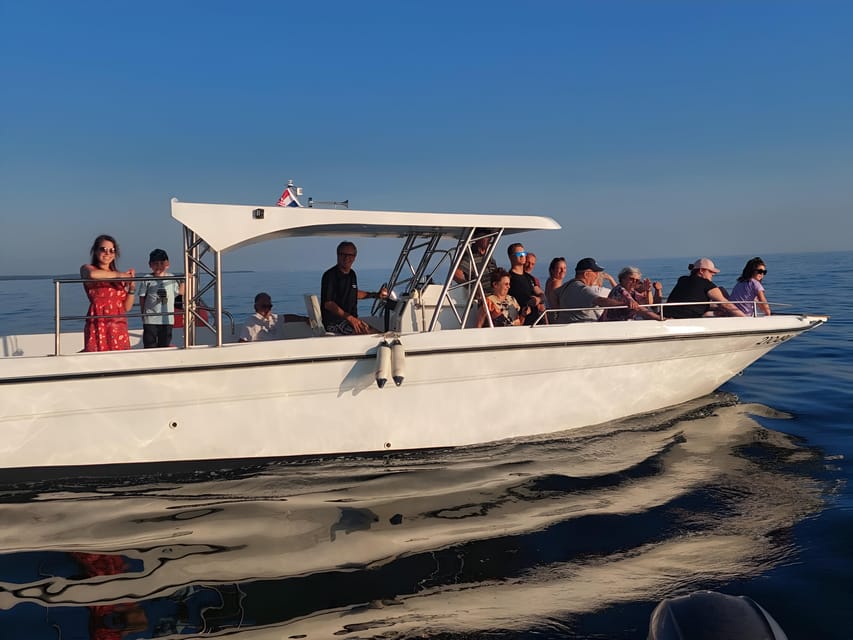 Umag: Snorkeling & dolphinwatching morning boat tour - Who should book this Umag dolphin and Blue Lagoon morning