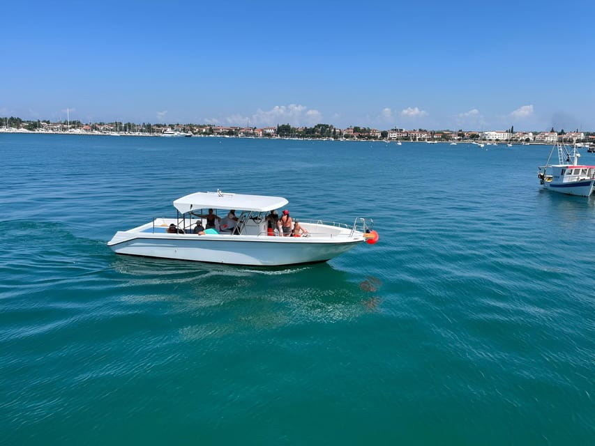 Umag: Snorkeling & dolphinwatching morning boat tour - Should you book this tour in Umag?