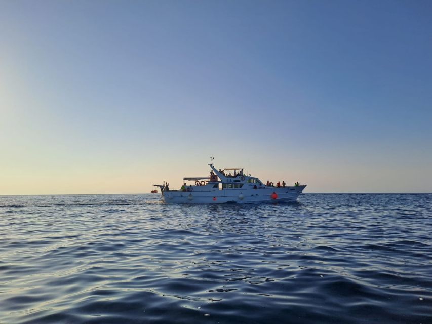 Umag: Sunset Cruise with Dolphin Spotting - Key highlights at a glance