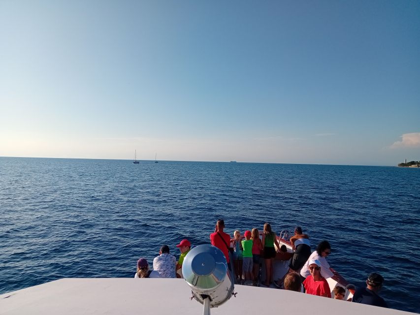 Umag: Sunset Cruise with Dolphin Spotting - Why a dolphin hunt at sunset feels different in Umag