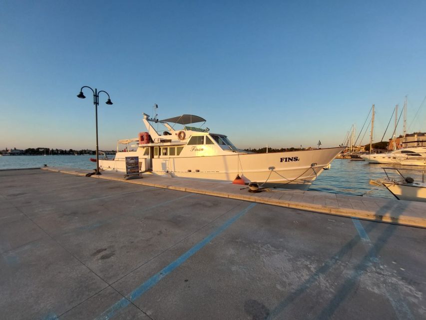 Umag: Sunset Cruise with Dolphin Spotting - What to bring for a better dolphin and photo experience