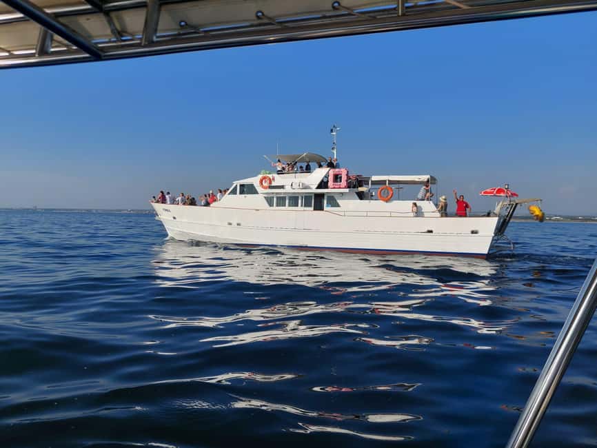 UMAG: Swimming&Panorama / Welcome Drink and Dolphin spotting - Key Points Worth Knowing Before You Go