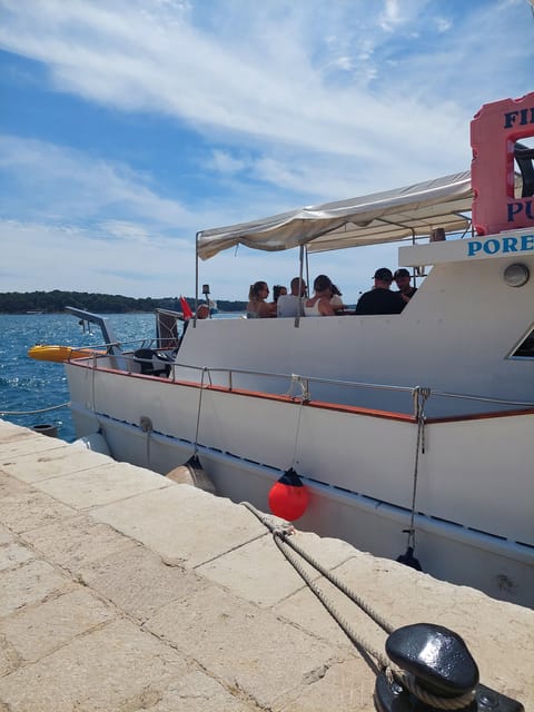 UMAG: Swimming&Panorama / Welcome Drink and Dolphin spotting - Who This Tour Is Best For, and Who Should Skip It