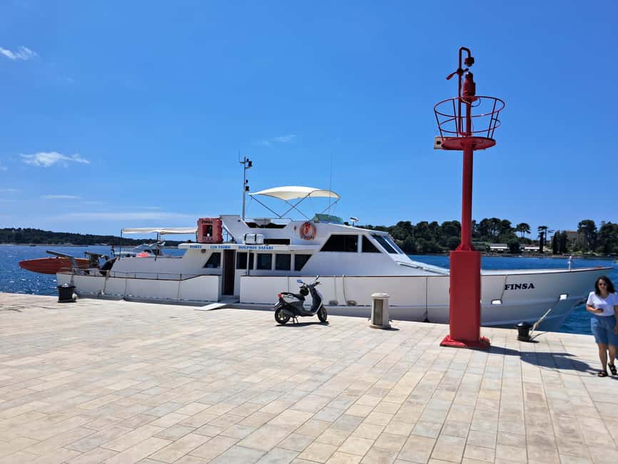 UMAG: Swimming&Panorama / Welcome Drink and Dolphin spotting - Savudrija’s Lighthouse Feeling: Why That View Is More Than a Photo Stop