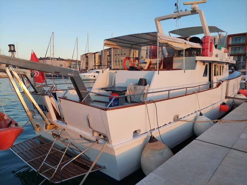 UMAG: Swimming&Panorama / Welcome Drink and Dolphin spotting - The Swim Break in the Adriatic: Timing, Depth, and What to Bring
