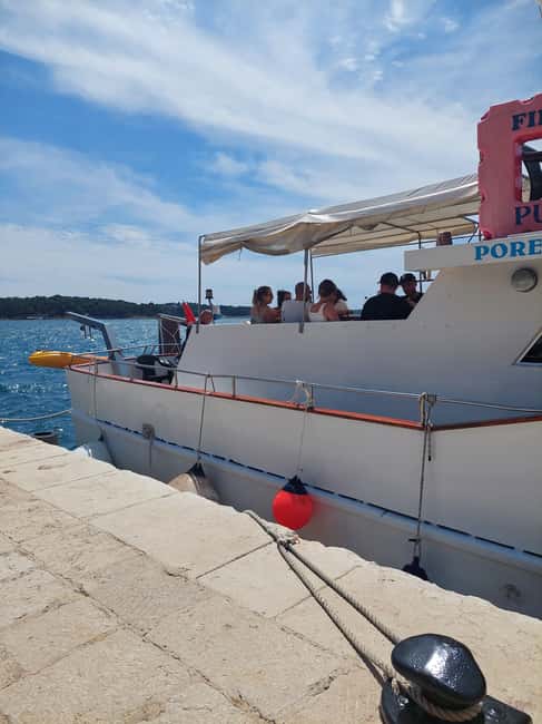 UMAG: Swimming&Panorama / Welcome Drink and Dolphin spotting - Dolphin Spotting in Natural Habitat: The Crew Search, the Realistic Odds, and How to Enjoy It