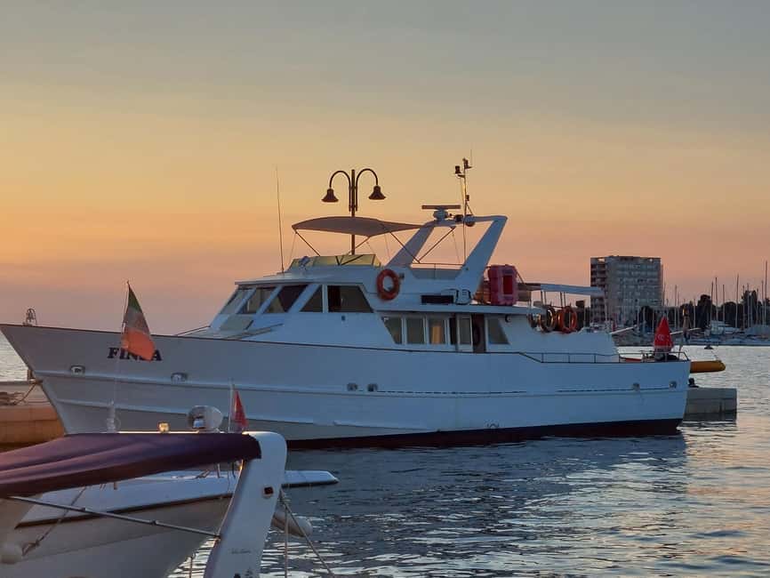 UMAG: Swimming&Panorama / Welcome Drink and Dolphin spotting - On Board Drinks: Welcome Drink Included, Extra Drinks Sold Separately