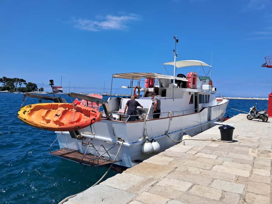 UMAG: Swimming&Panorama / Welcome Drink and Dolphin spotting - Price and Value: Is $41 Worth a 3-Hour Cruise With Views and a Swim?