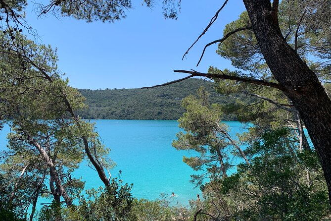Visit magical Mljet Island with private speedboat - Mljet National Park: pine forests, Veliko Jezero, and that lake-ring feeling