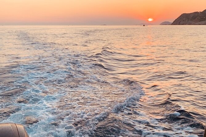 Visit magical Mljet Island with private speedboat - Independent exploration time: how to make those hours count