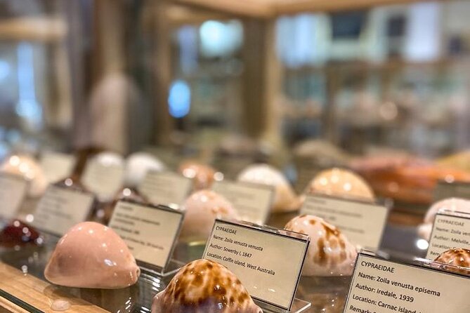 Visit Shell Museum Cavtat - Key things I’d mark on your plan before you go