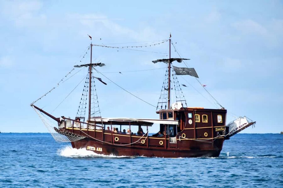 Vrsar: Dolphin Watching Boat Ride - Key things that make this dolphin cruise work