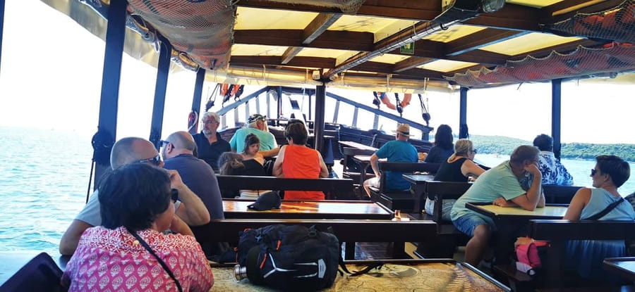Vrsar: Dolphin Watching Boat Ride - Practical tips so you enjoy the full experience